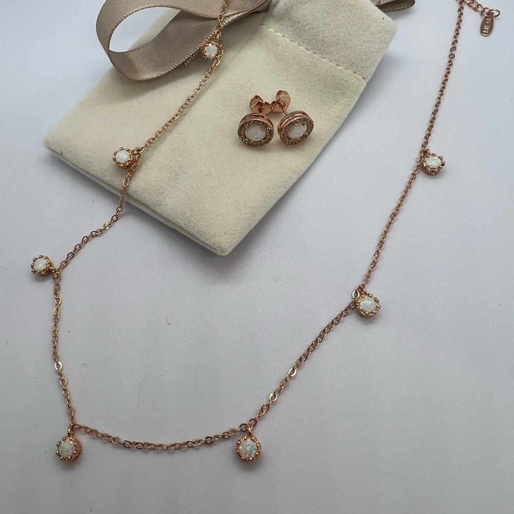 NWOT Rose Gold plated Necklace and Earring Set